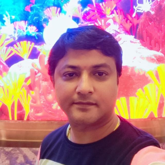 Senior Functional Consultant at Vxceed